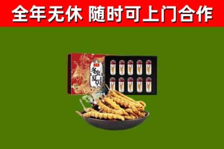 伍家岗区回收冬虫夏草价格