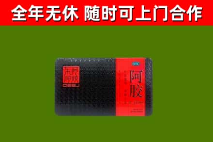 伍家岗区回收阿胶