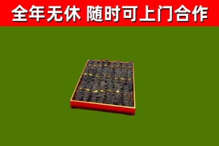 伍家岗区回收海参